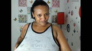 ˧�리솔 vaca colombiana3